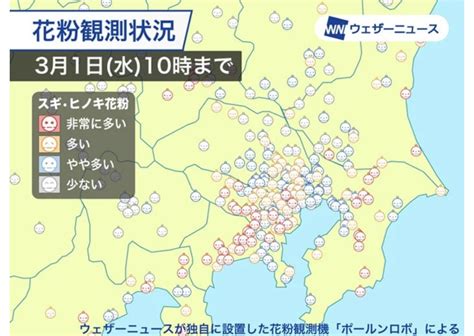 【花粉情報】関東は連日の花粉大量飛散 累計は昨年同時期の5倍近くに News Everyday