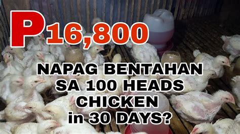 MAGKANO ANG PUHUNAN AT KITA SA 45 DAYS BROILER CHICKEN JAY TIPS TV