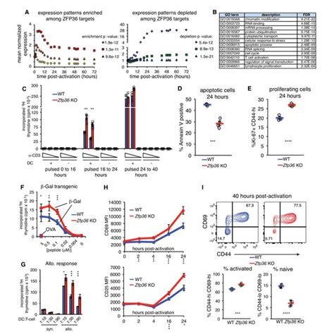 Zfp36 Rna Binding Proteins Restrain T Cell Activation And Anti Viral