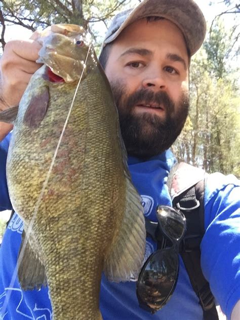 The Joys Of Creek Fishing For Smallmouth Basslive Bass Fishing