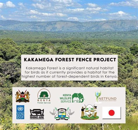 County Government Of Vihiga On Twitter Kakamega Forest Is The Only