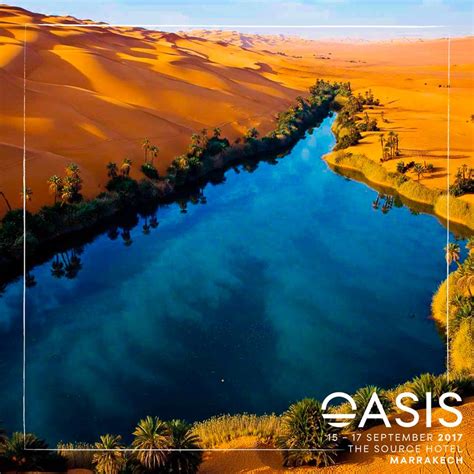 Oasis