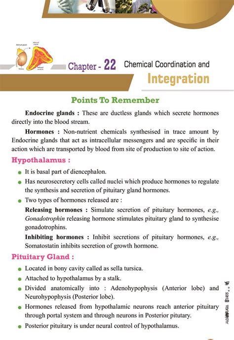 Cbse Notes Class Biology Chemical Coordination And Integration