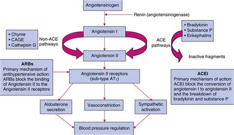 Essential Pharma Documents 3127cardiovascular Drugs