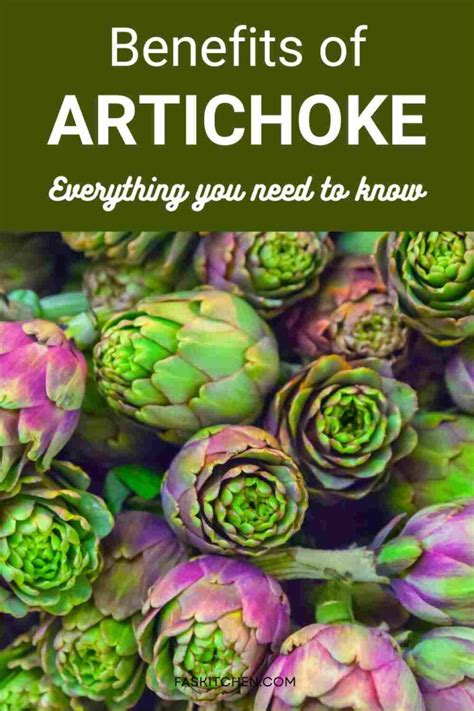 Artichoke Nutrition Benefits How To Use Buy Store Artichoke