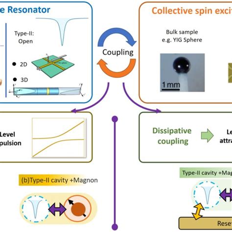 Time Evolution Of A Dissipative Cavity Magnonic System Red And Blue