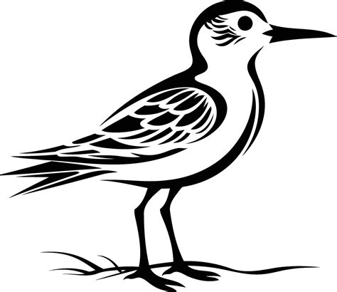 Black And White Illustration Of A Stylized Seabird Perfect For