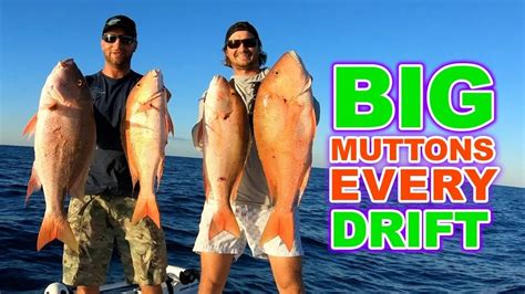 Drifting For Big Mutton Snapper Catch N Cook