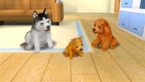 Petz: Dogz Family - GameSpot