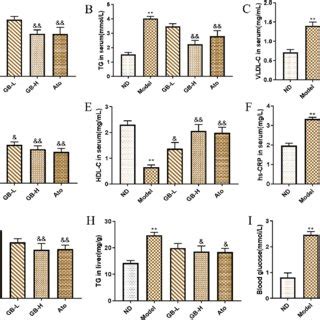 Gb Reduced Atherosclerotic Lesions In Hfd Induced Apoe Mice N