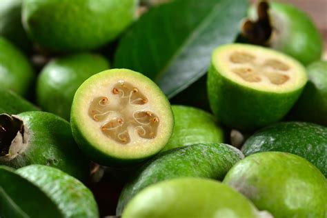 Feijoa Pineapple Guava Hello Hello Plants