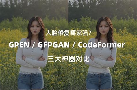 人脸修复哪家强？gpen，gfpgan和codeformer三大神器对比 知乎