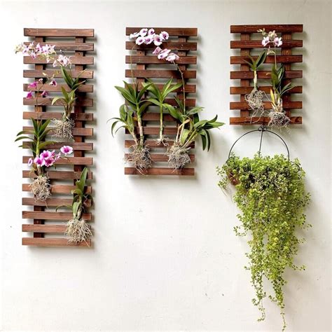 Shoplala Wall Planter Pack Review Urban Eco Gardens