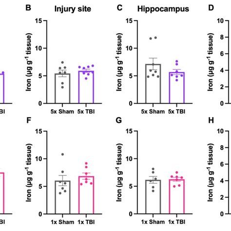 Iron Levels Assessed Via LA ICP MS In The Ipsilateral Hemisphere