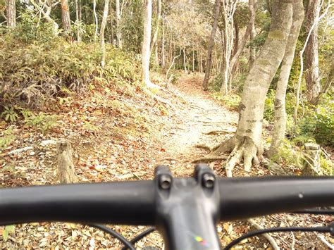 3月もmtbトレイル ★ セオサイクル浜松店 自転車屋 浜松市 中区 静岡文化芸術大学すぐ横 自転車専門店 セオ