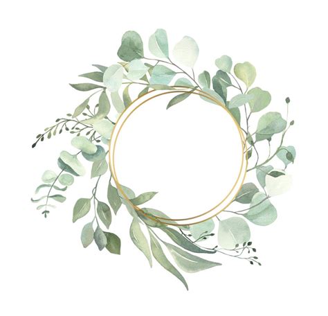 Eucalyptus Wreath Clipart Png Greenery Frame Watercolor Etsy