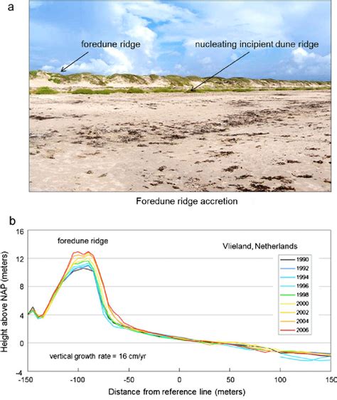 A Photograph Of The Foredune Ridge And Row Of Incipient Foredunes