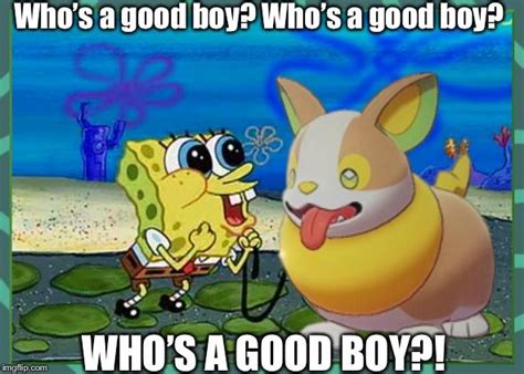 My Reaction To Yamper By Wcher999 On Deviantart Pokemon Pikachu