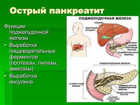 Тяжесть панкреатита