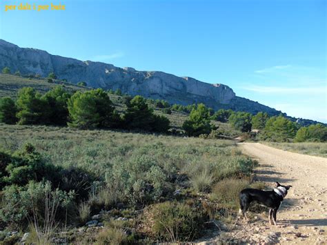 Moleta D Aitana M Y Aitana M Por El Arran Dels