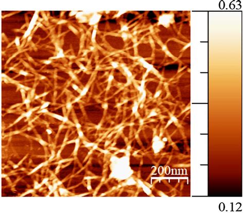 Afm Micrograph Of Nanocellulose With A Scan Size Of M M