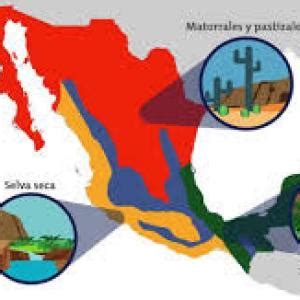 REGIONES DE MÉXICO Duchazos Juego educativo Ciencias Mobbyt