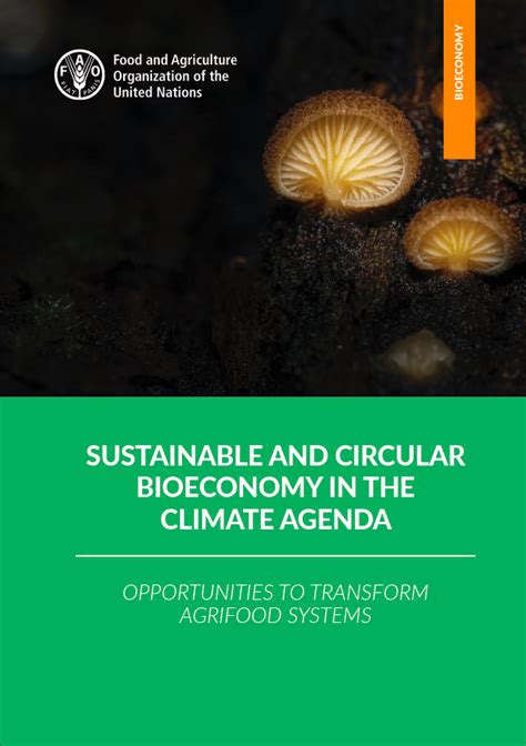 Publications Sustainable And Circular Bioeconomy For Food Systems