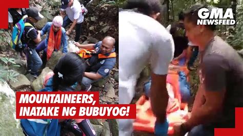 Mountaineers Inatake Ng Bubuyog GMA News Feed YouTube