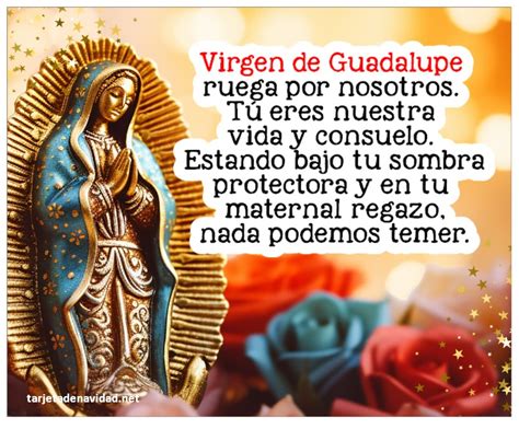 Frases Virgen De Guadalupe Tarjetas De Navidad