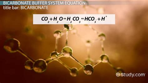 Bicarbonate Buffer System Overview Equation And Uses Video And Lesson