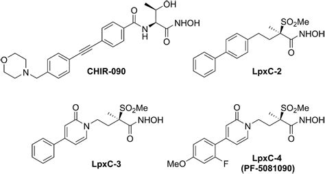 LpxC Inhibitors As New Antibacterial Agents And Tools For Studying