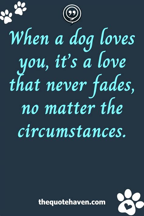 Dog Love Quotes