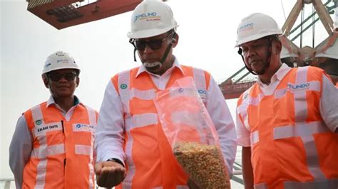 Stabilkan Harga Di Tingkat Peternak Bulog Segera Gelontorkan Ribu