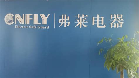 Company Overview Yueqing Fly Electric Co Ltd