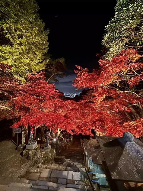 絶景🍁紅葉🍁ライトアップの大山 Hayabusaさんの大山の活動データ Yamap ヤマップ