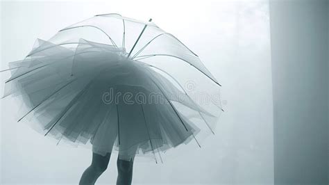 Umbrella In The Form Of A Tutu Stock Illustration Illustration Of