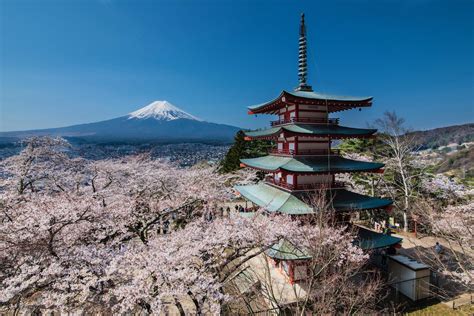 Plan Your 2025 Cherry Blossom Trip Today