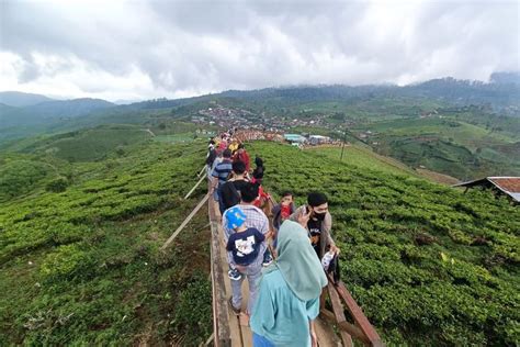 Foto Mampir Ke Taman Langit Pangalengan Lihat Kota Dari Ketinggian