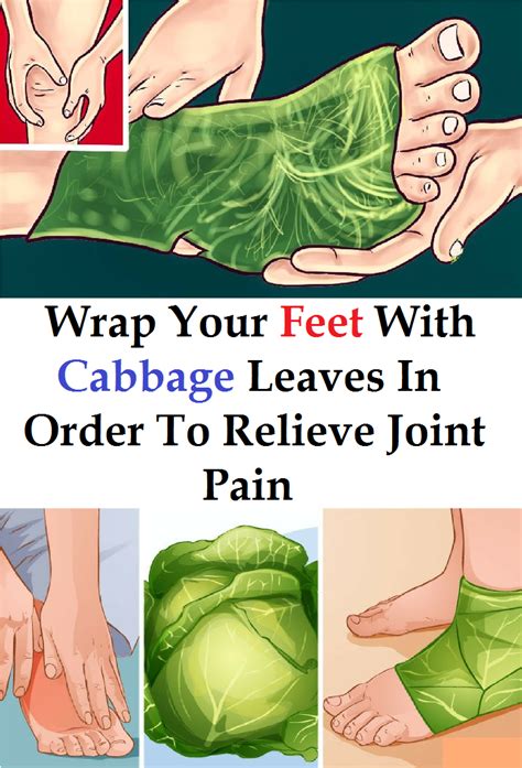 Wrap Your Feet With Cabbage Leaves In Order To Relieve Joint Pain In The House Of Health