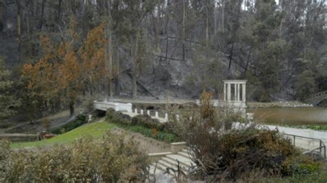 El Mayor Jardín Botánico De Chile Malherido Tras Los Incendios