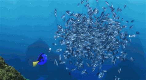 Finding Nemo Pixar   By Disney Pixar Find And Share On Giphy