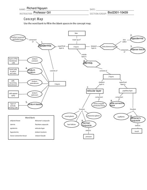 Chapter 6 Concept Map Concept Map Of Integumentary System N A M E