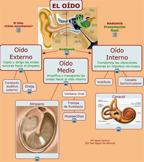 Arriba Foto La Cualidad Del Sonido Que Nos Permite Diferenciar