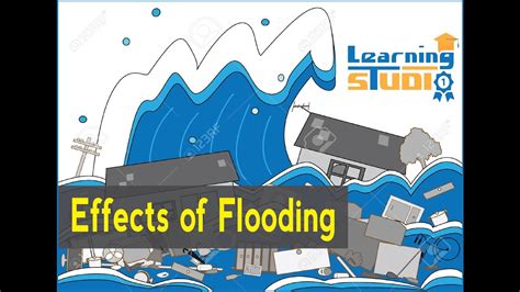 What Are The Effects Of Flooding Youtube