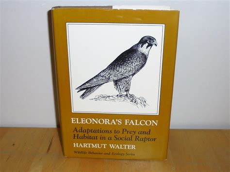 Eleonora's Falcon : Adaptations to Prey and Habitat in a Social Raptor de Walter, Hartmut: Fine ...