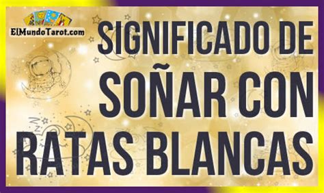 So Ar Con Ratas Blancas Significados