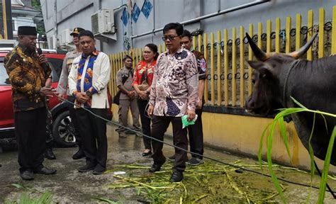 Sambut Idul Adha 1445 H Thn 2024 Pj Walikota Serahkan Hewan Qurban Di