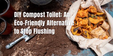 DIY Compost Toilet: An Eco-Friendly Alternative to Stop Flushing ...