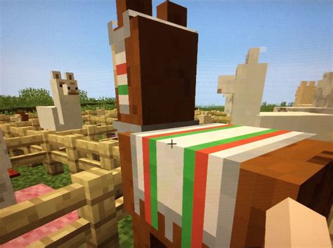 How To Tame Llamas In Minecraft Bc Guides