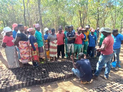 Parceria Entre Biofund Parque Nacional De Chimanimani E Associa O